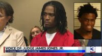 Man who livestreamed deadly shooting rampage pleads guilty
