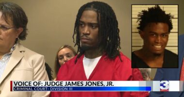 Man who livestreamed deadly shooting rampage pleads guilty