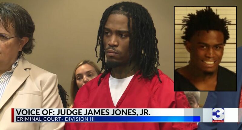 Man who livestreamed deadly shooting rampage pleads guilty