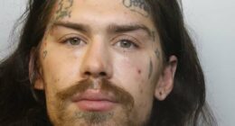 Marco Pierre White Jr pleads guilty to burglary AGAIN