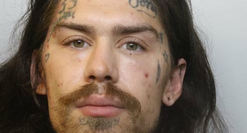 Marco Pierre White Jr pleads guilty to burglary AGAIN
