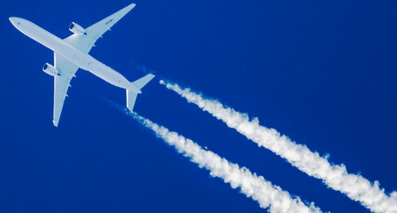 Mass poisoning. Mind control. The TRUTH about 'chemtrails'