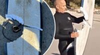 Surfer escapes shark NSW