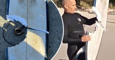 Surfer escapes shark NSW