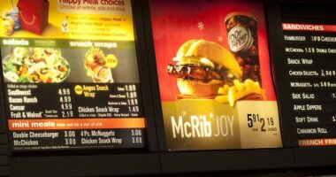 McDonald's menu, 2010