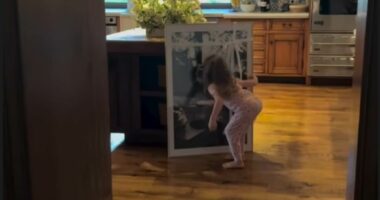 Meghan posts rare clip of Lilibet at home with a 'surprise' from Harry