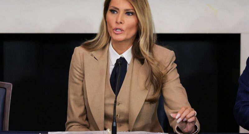 Melania Trump calls for 'intervention' after Minnesota shooting