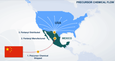 Mexico not going after cartel 'plaza' bosses with DEA