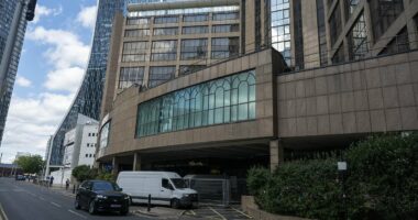 'Migrant' arrested after allegedly entering a blind woman's flat
