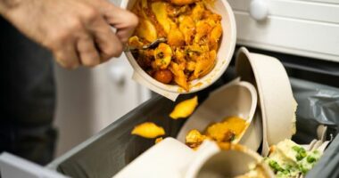 christmas leftovers how to use effectively no waste families
