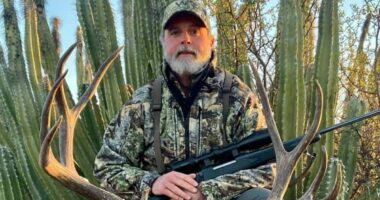 Millionaire US big game hunter is gored to death by buffalo