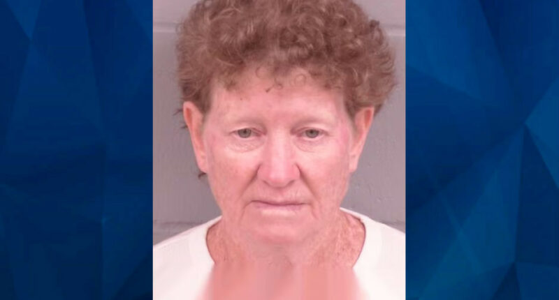 Minnesota Woman Prayed to ‘Guide My Bullets’ As She Opened Fire on Neighbor She Believed Was ‘Murdering and Raping People’