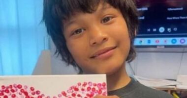 Missing 12-year-old boy believed to be killed in alligator attack