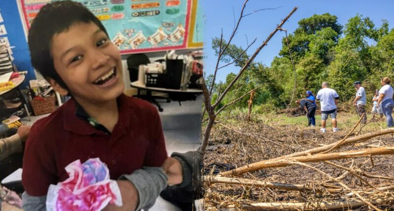 Missing New Orleans boy, 12, died after alligator attack, drowning: authorities