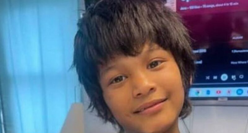 Missing New Orleans boy died from blunt force trauma from alligator, authorities say