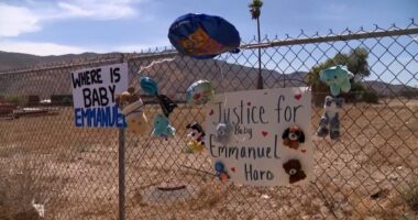 Missing baby's sister left unable to speak, walk after ‘abuse’: Report 
