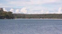 A search is under way for a fisherman who vanished in waters off Sydney's south.