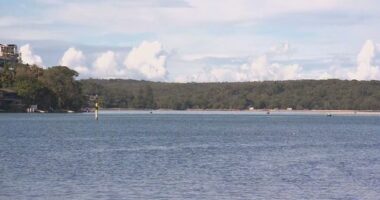 A search is under way for a fisherman who vanished in waters off Sydney's south.