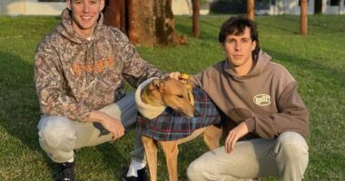 ﻿Mitchell Marianoff and James Walker have been together for five years, but have been unable to start a family until now.