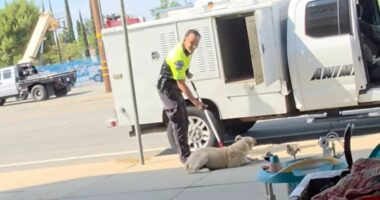 Moment animal control officer drags dog by neck and throws him in van