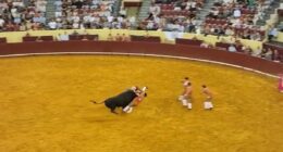 Moment bullfighter is killed after being rammed against wall