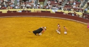 Moment bullfighter is killed after being rammed against wall