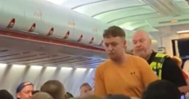 Moment plane passenger is detained by police after row diverted flight