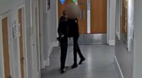 Moment teen fights with Harvey Willgoose before stabbing him