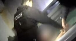 Moment wanted man is caught hiding in HOT TUB by police sniffer dog