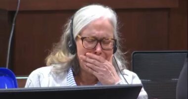 Mother-in-law weeps uncontrollably during trial for murder-for-hire