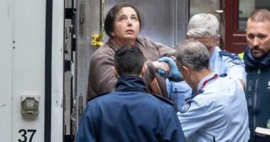 Mushroom triple murderer arrives at court to face her victims