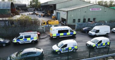 Mystery over identity of man whose 'shredded' body parts were found
