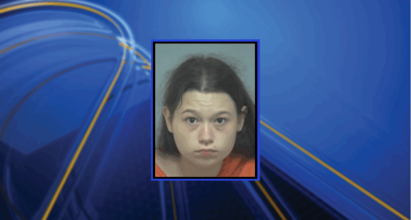 NC woman arrested after stabbing in Hilton Head Island