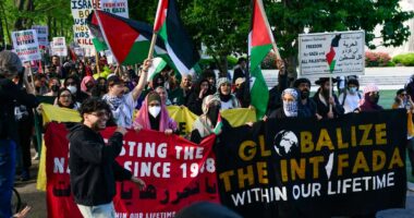 NYC public defender terminated over antisemitic social media post targeting Israelis