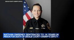 Nathan Sweeney, who pleaded guilty to DUI in DeKalb County Deputy Christina Musil's death in crash, sentenced