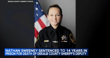 Nathan Sweeney, who pleaded guilty to DUI in DeKalb County Deputy Christina Musil's death in crash, sentenced