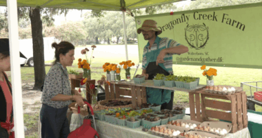 National Farmers Market day draws crowd to Forsyth Park
