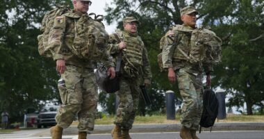 National Guard descends on streets of Washington DC