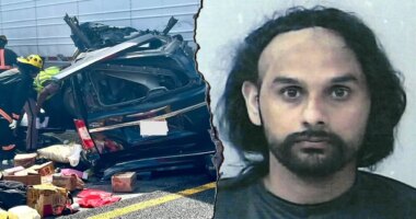 Nearly 2.5M people sign petition supporting illegal immigrant truck driver charged in fatal crash