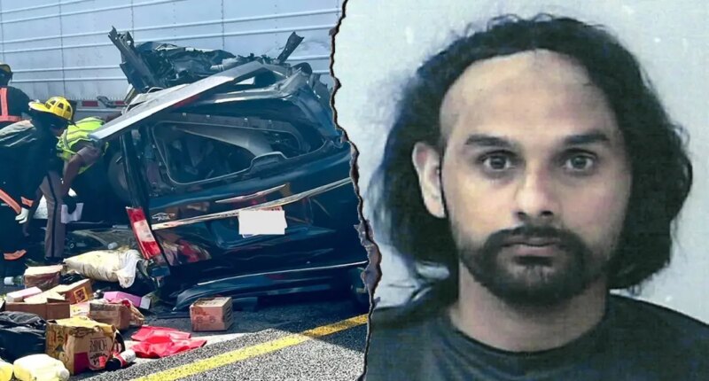 Nearly 2.5M people sign petition supporting illegal immigrant truck driver charged in fatal crash