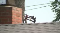 Neighbor from hell erects TRAIN horn to roof and blasts it