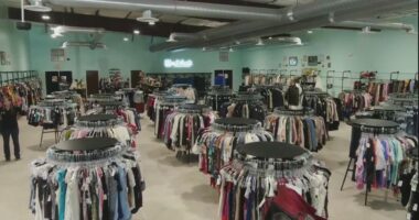 New Goodwill Boutique opening in Savannah