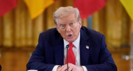 New White House TikTok has Trump supporters all saying the same thing