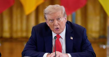 New White House TikTok has Trump supporters all saying the same thing
