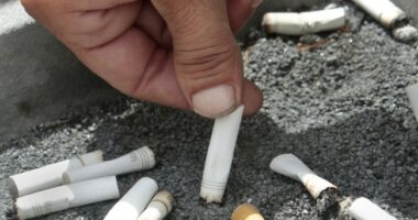 New York Has the Nation's Highest Tobacco Taxes - So, of Course, They Have the Most Smuggling