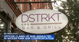 New details about alleged Wicker Park bar attack involving cop linked to Chicago shooting death of Police Officer Krystal Rivera