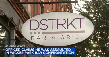 New details about alleged Wicker Park bar attack involving cop linked to Chicago shooting death of Police Officer Krystal Rivera
