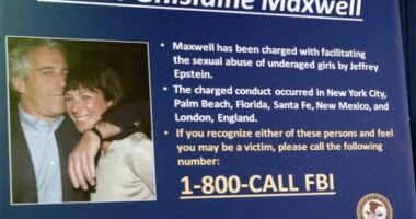 Jeffrey Epstein, Ghislaine Maxwell