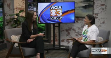 New pantry in Champaign requesting donations