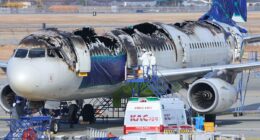 New terror in the skies that airlines are brushing under the carpet